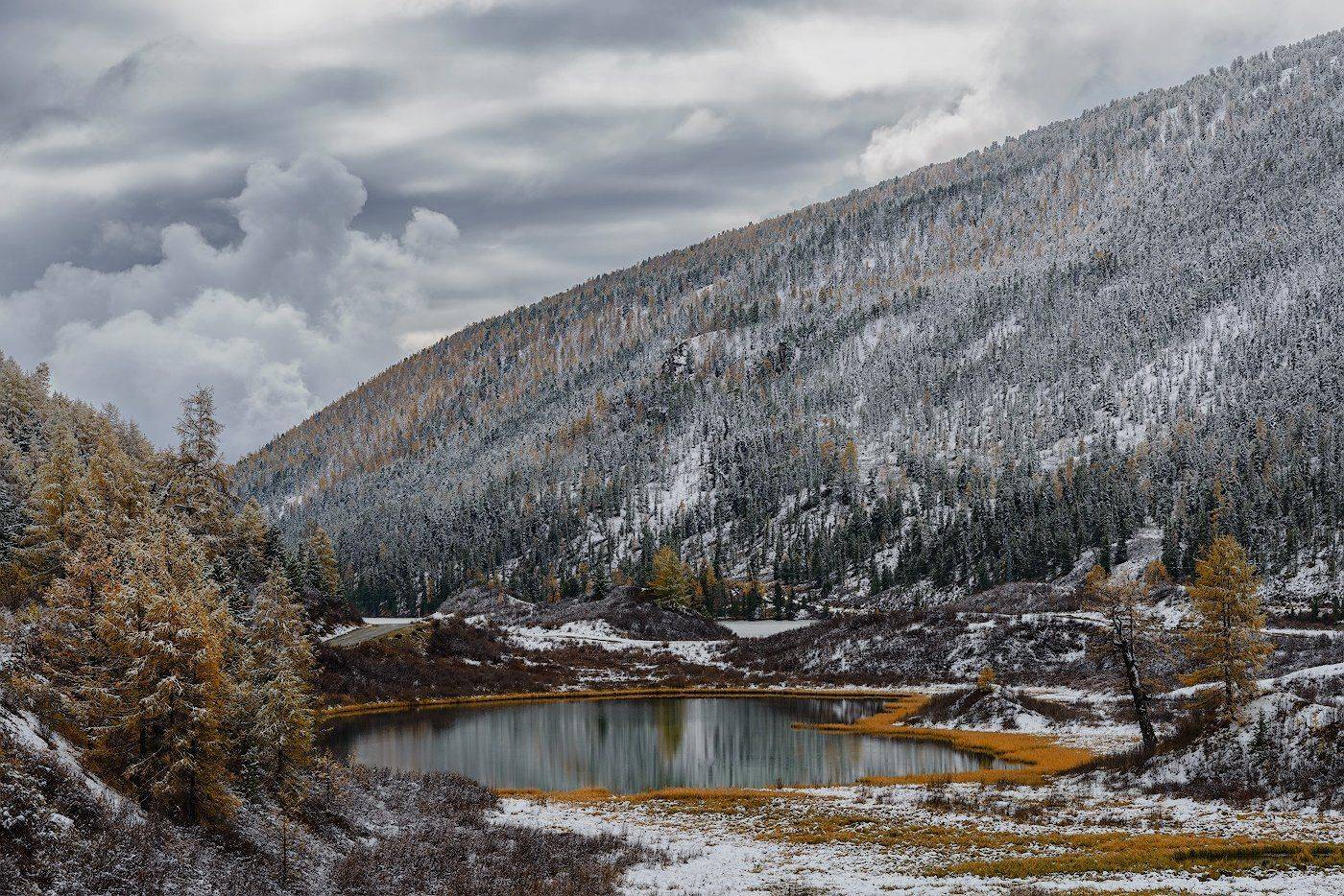 пейзаж, зима, снег, озеро, лес, Dmitriy  Baginskiy