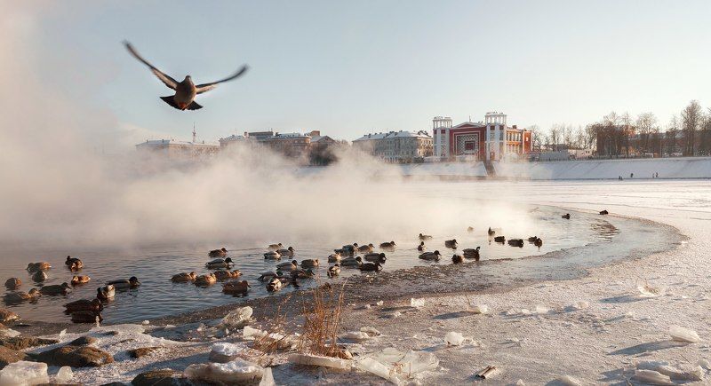 Тверь --- фото превью