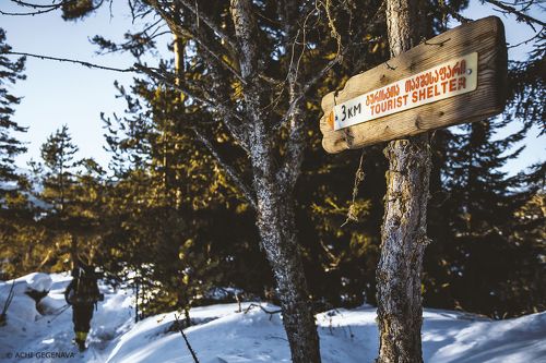 Georgia - Borjomi-Kharagauli National Park