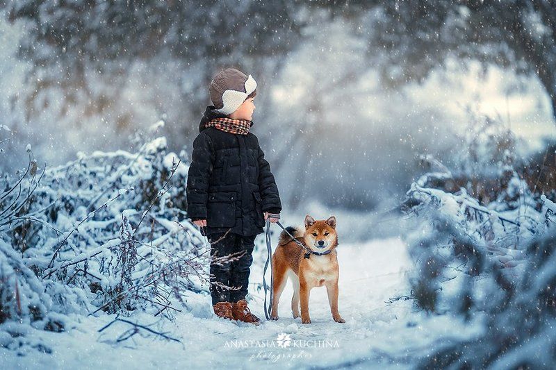 Два друга фото превью