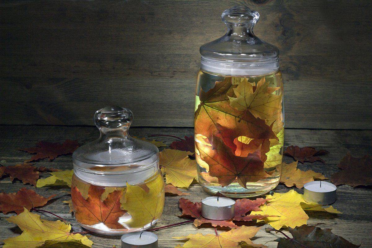 , Наталья Бочкарева