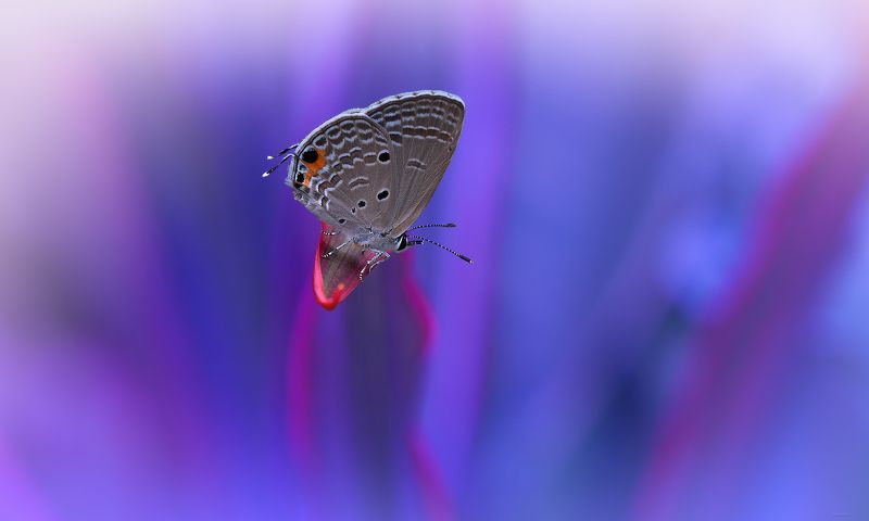 ... в тишине фото превью