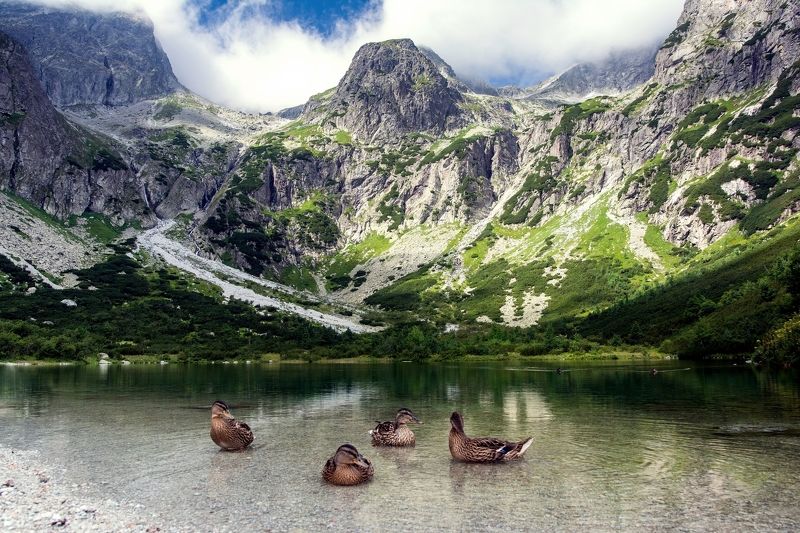 Countryside фото превью