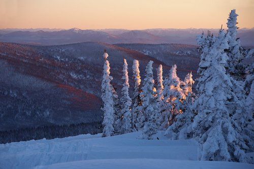 Pro состояния Шерегеша