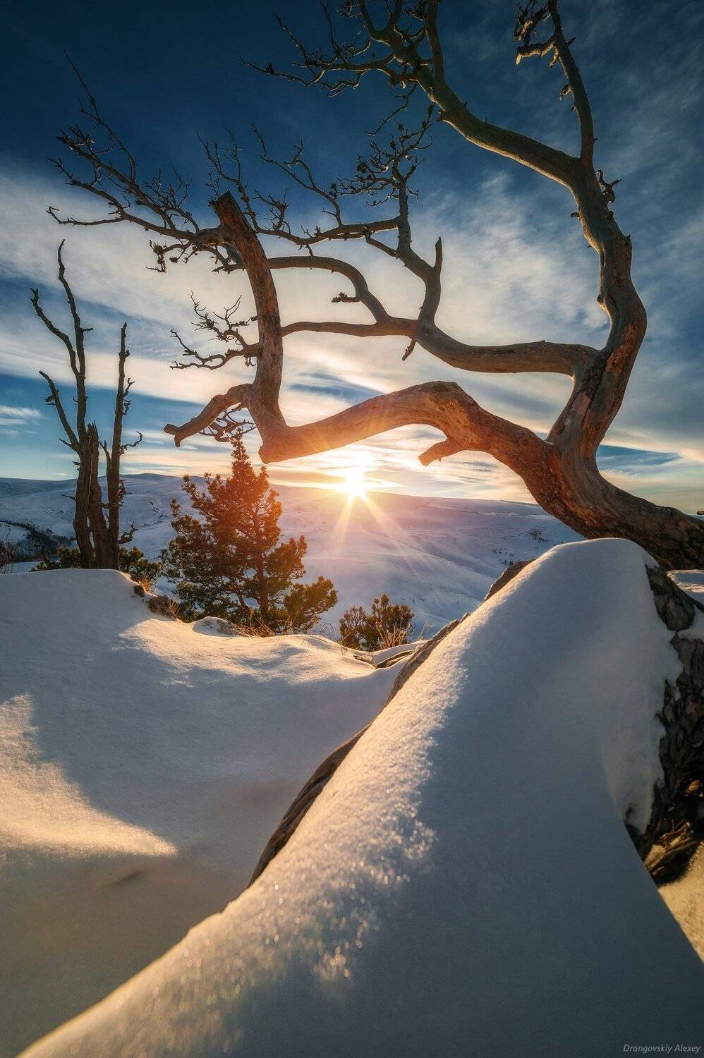 , Алексей Дранговский