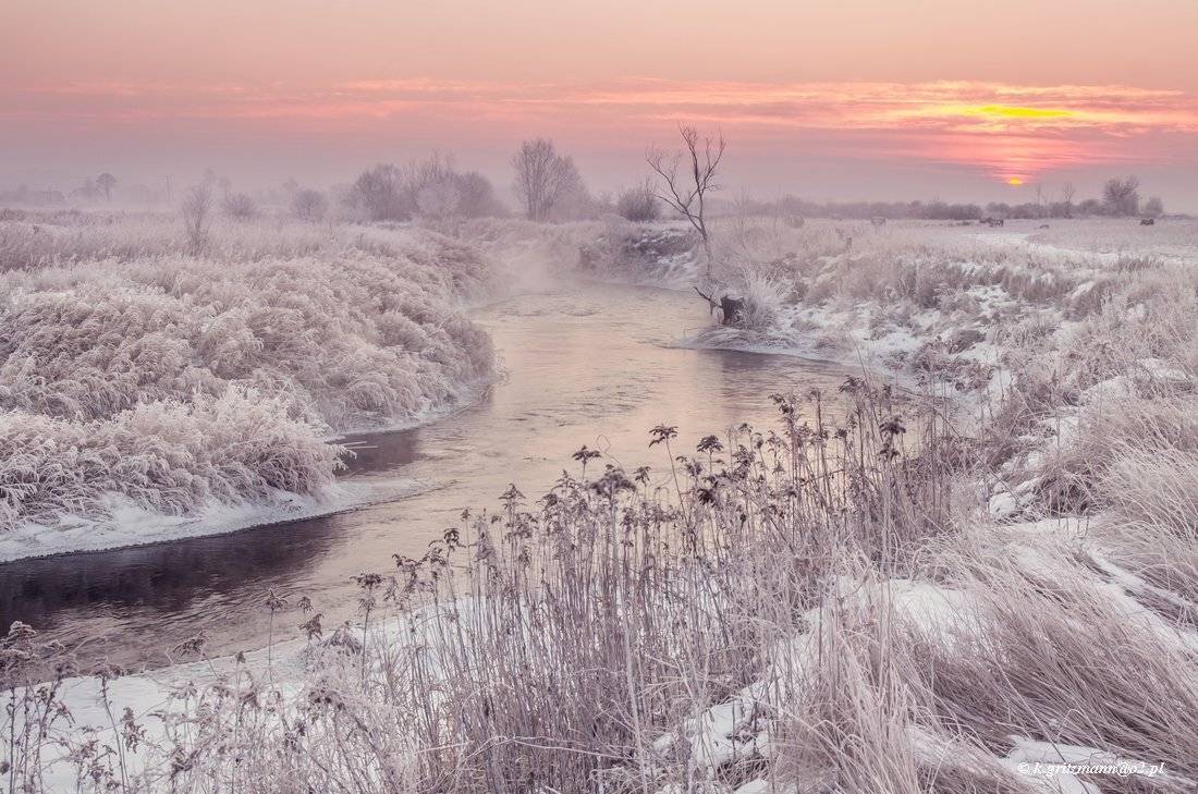 , Katarzyna Gritzmann