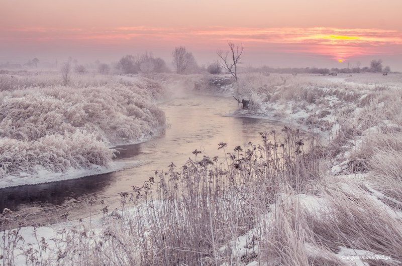 winter ... фото превью