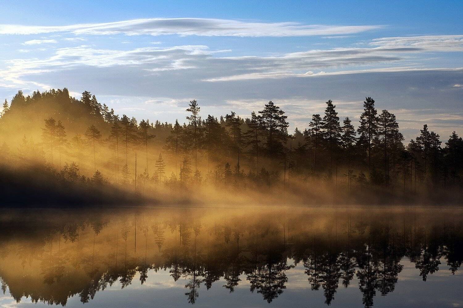 карелия, Виктор