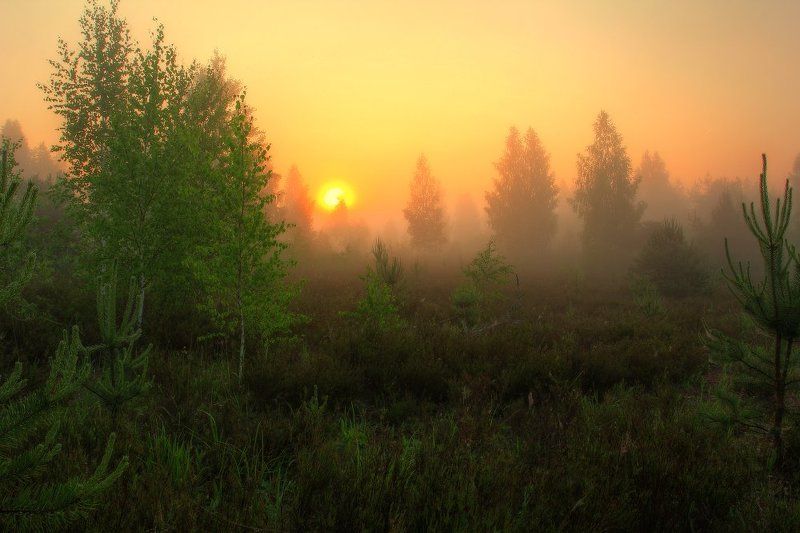 рассвет,утро Ранним утром... фото превью