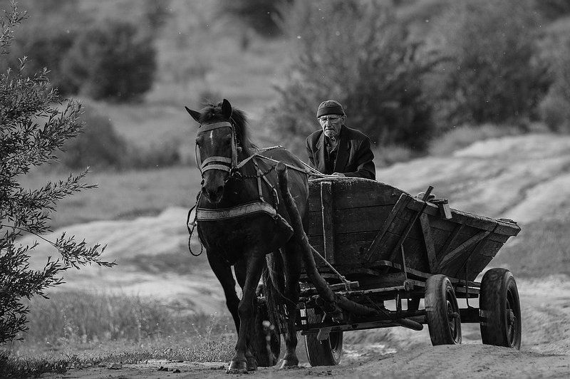Коренной ты мой,выручай же брат... фото превью