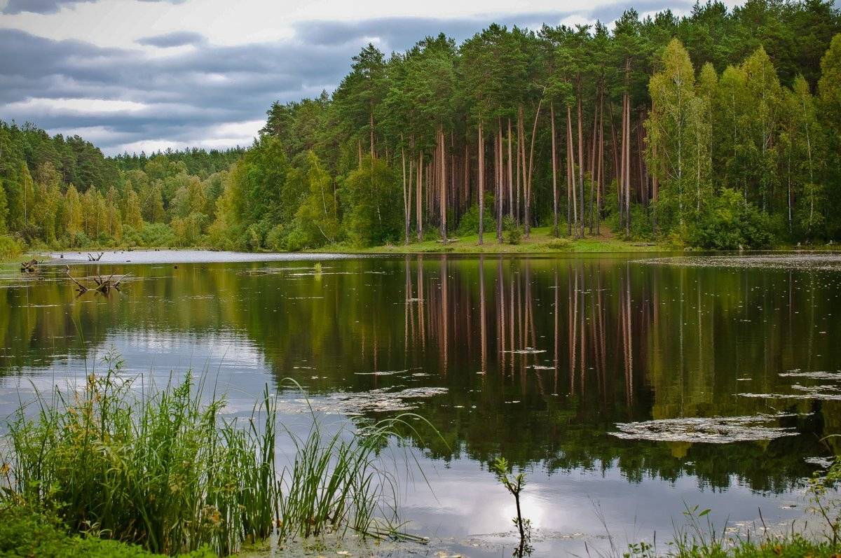 , Суслов Дмитрий