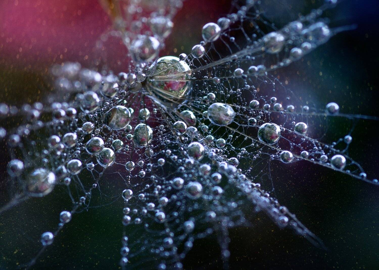 , Таня  Маркова