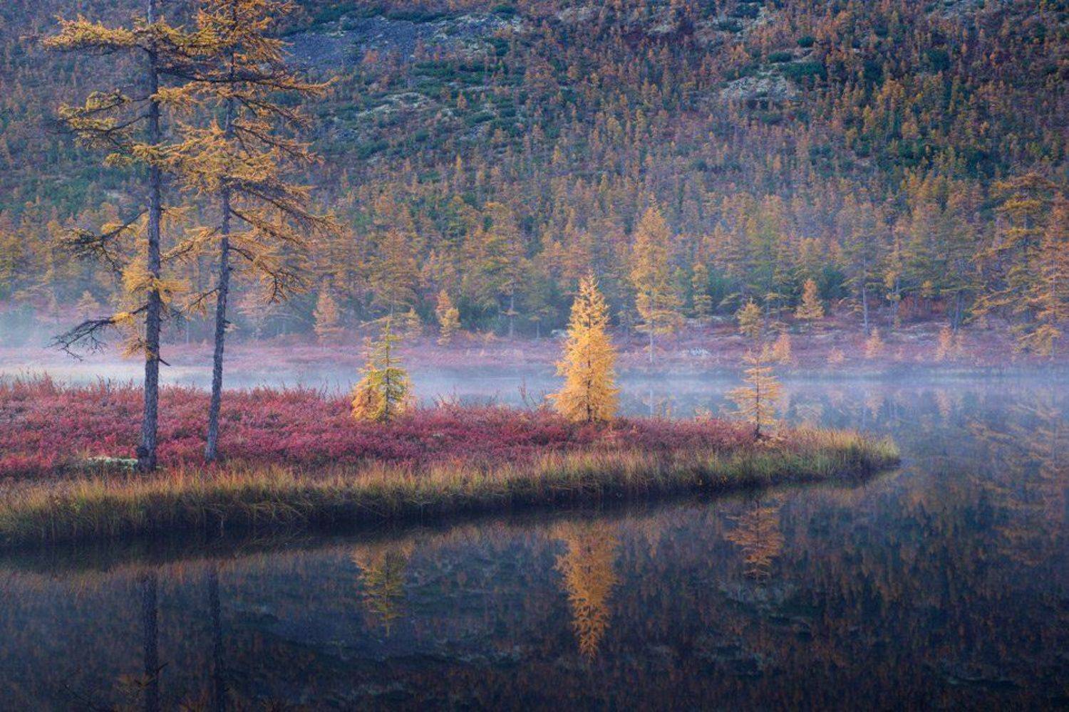 , Алексей Харитонов