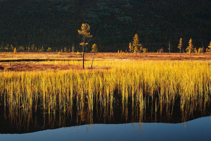 Равновесие фото превью