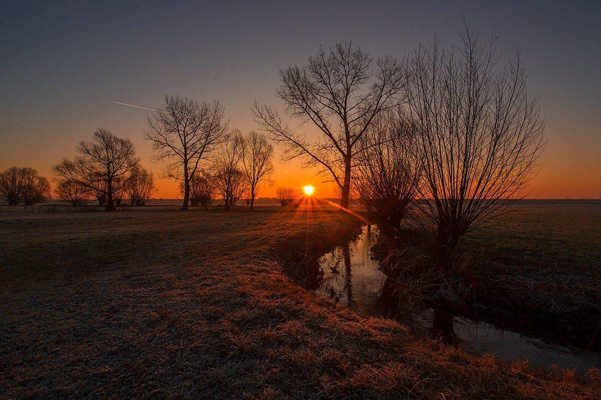 , Pawel Plucinski