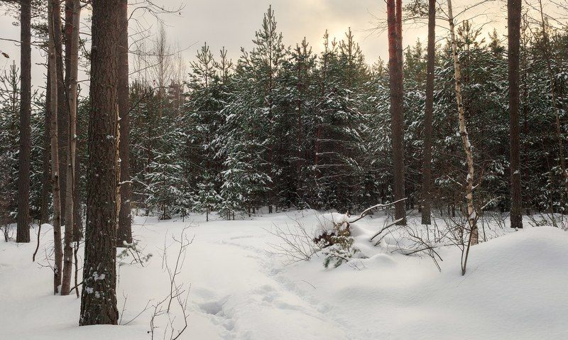 Тверь, Тверская область --- фото превью