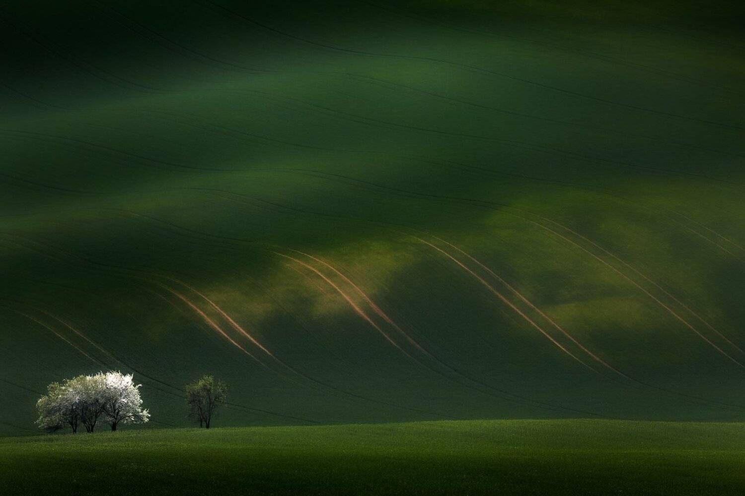 landscape,canon,moravia,light,green, Iza,Darek