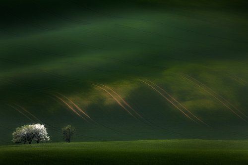 South Moravia