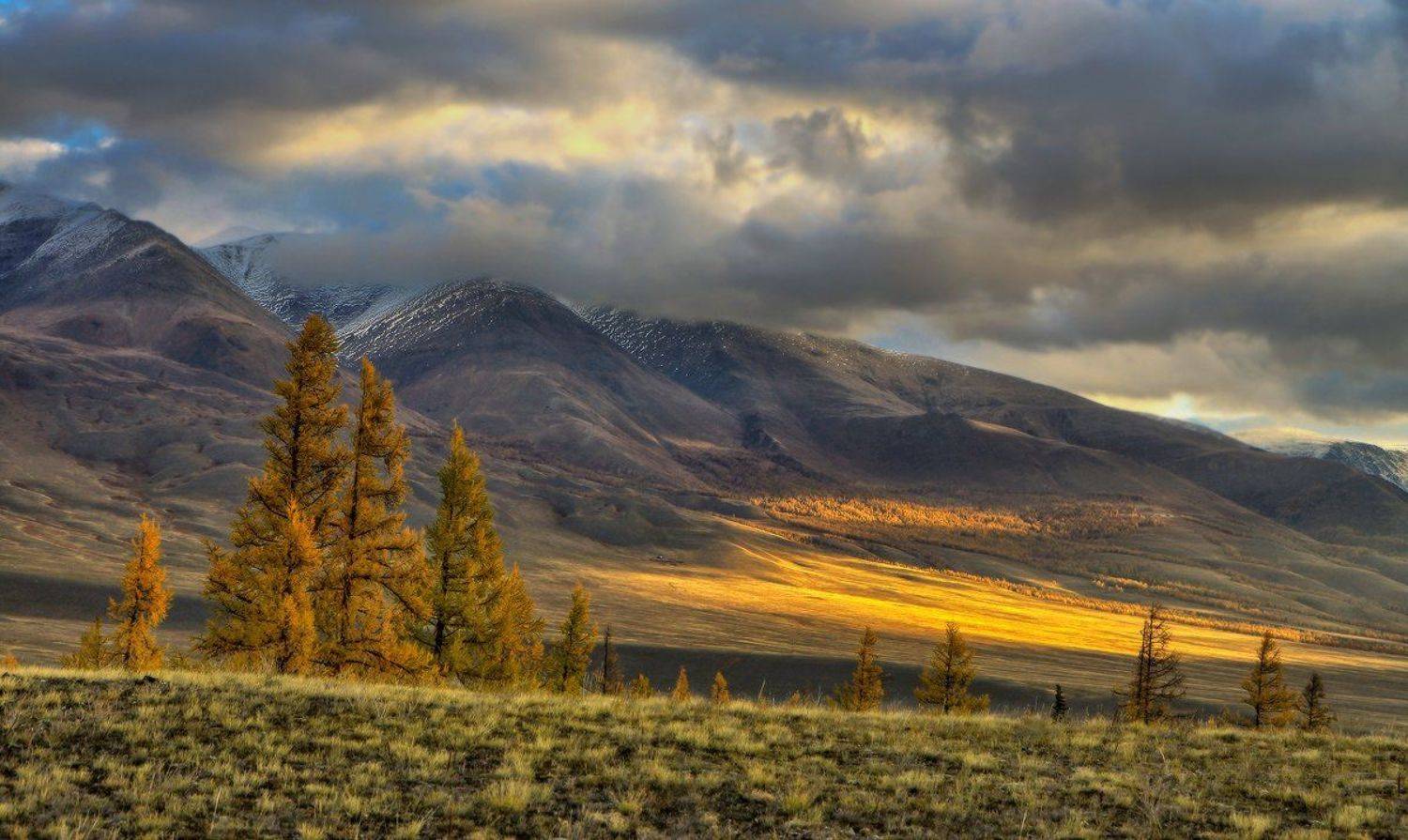горный алтай, алтай, курай, осень,горы, Галина Хвостенко