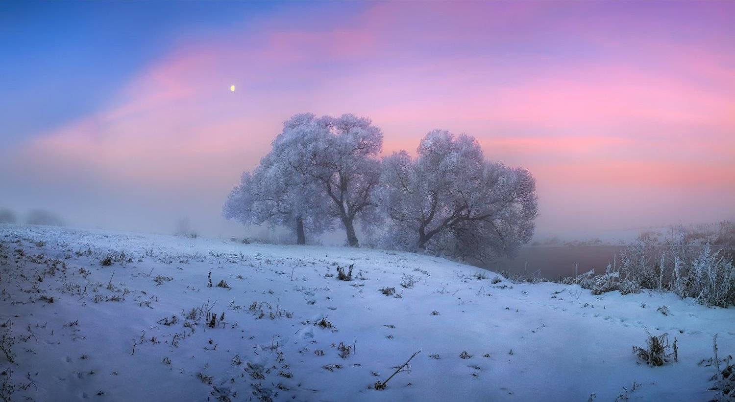 зима, рассвет, иней, мороз, дымка,, Сергей Шабуневич