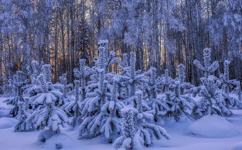 Вечерело ... фото превью