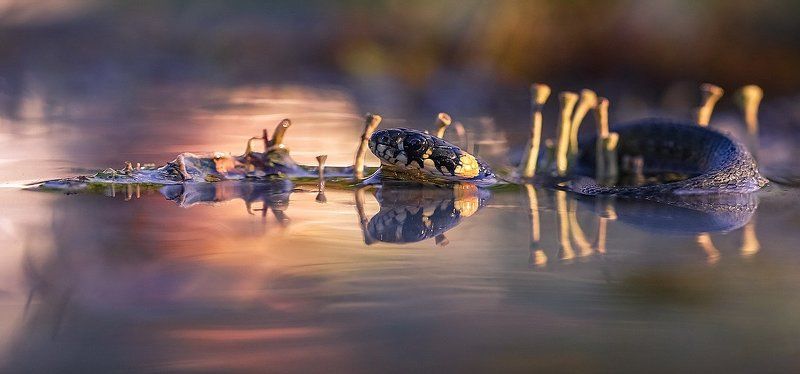 На другой планете фото превью
