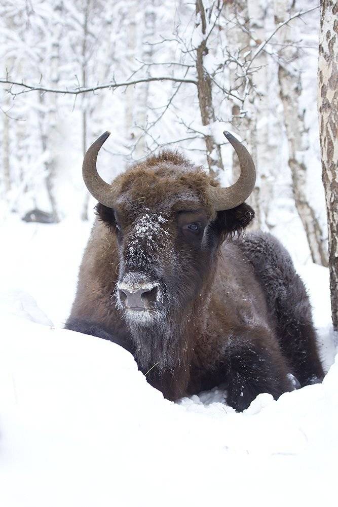 , Иваненко Светлана