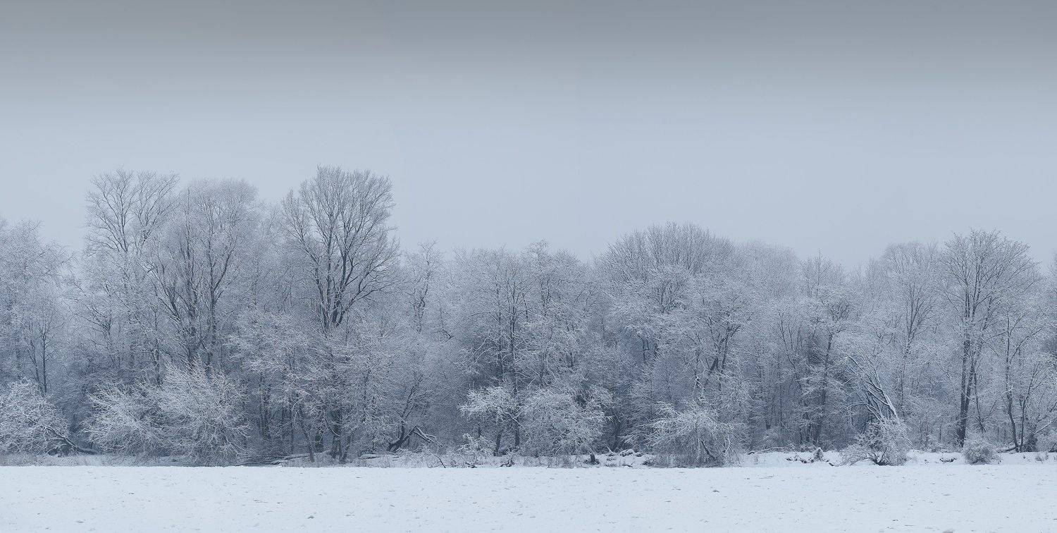 , Arnis Krūmiņ&scaron;