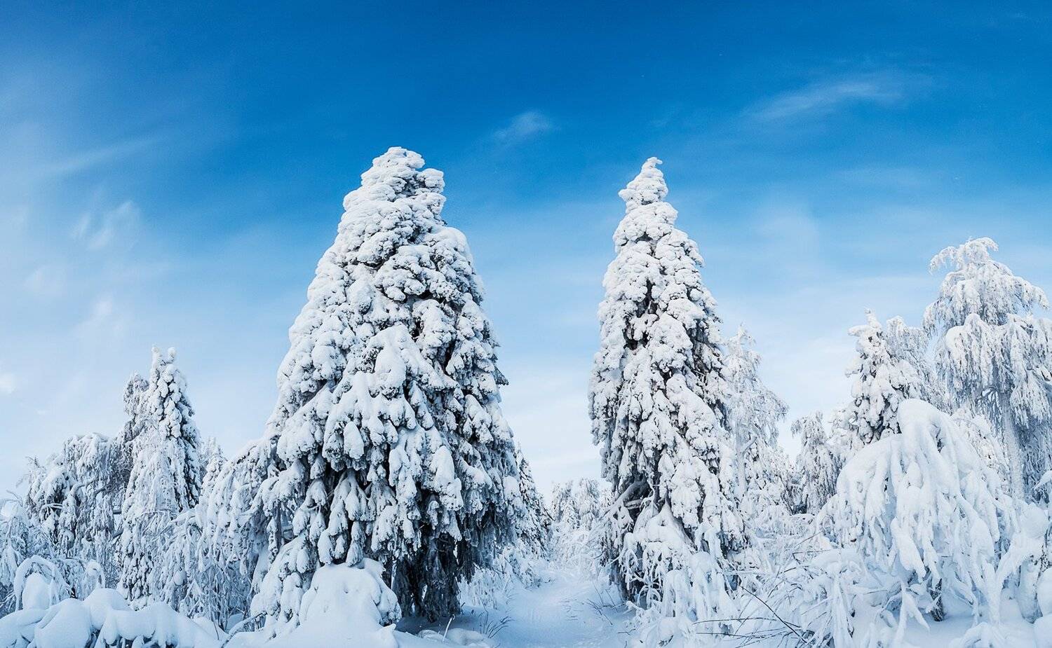 полюд, пермский край, урал, Кемаев Александр