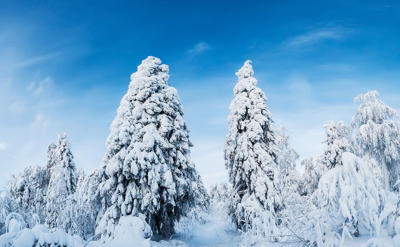 полюд, пермский край, урал Стражи Полюда фото превью
