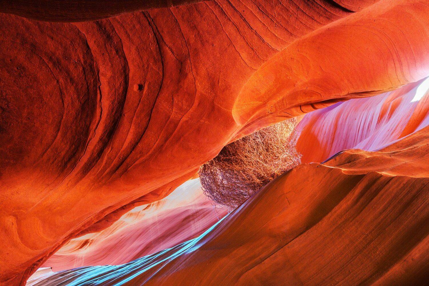 перекати-поле, каньон антилопы, сша, пейдж, Алексей Сулоев