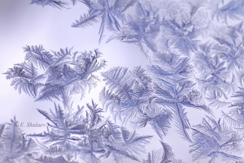 морозные узоры Узоры фото превью