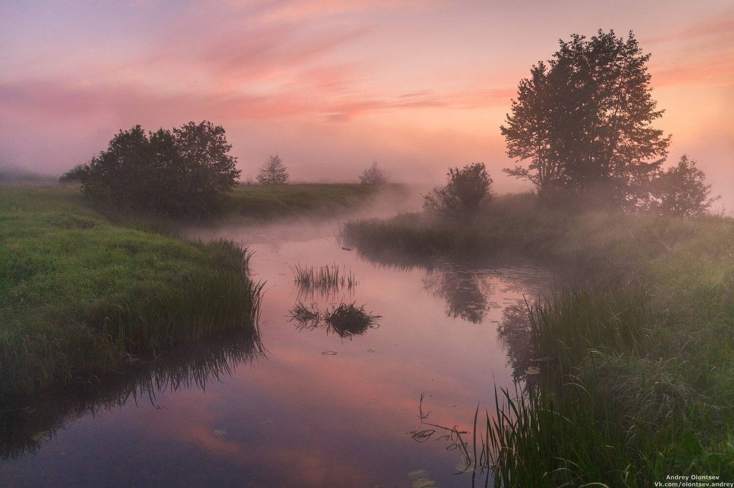 , Андрей Олонцев