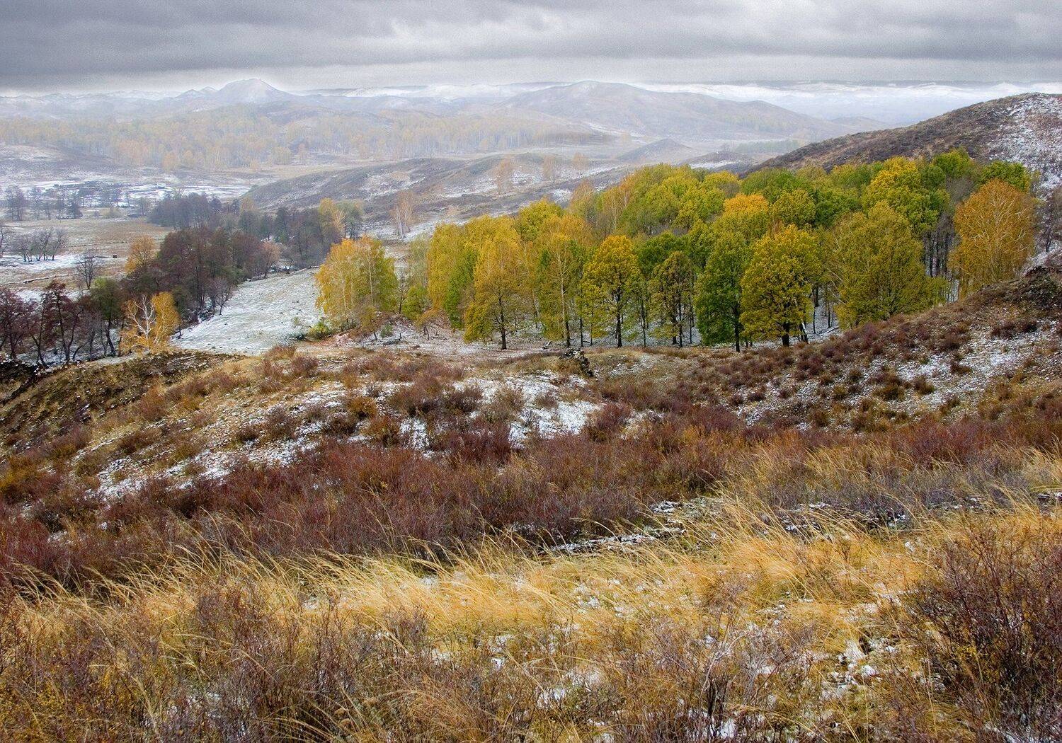 оренбуржье, снег, пейзаж,урал,трава, деревья, осень, октябрь,, Олег Грачёв