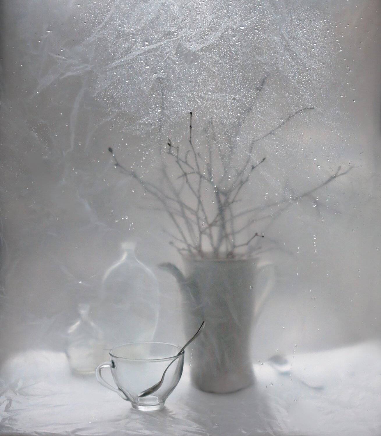 ветки, чайник, ложка, чашка, бутылка, капли, натюрморт, Елена Лысенко