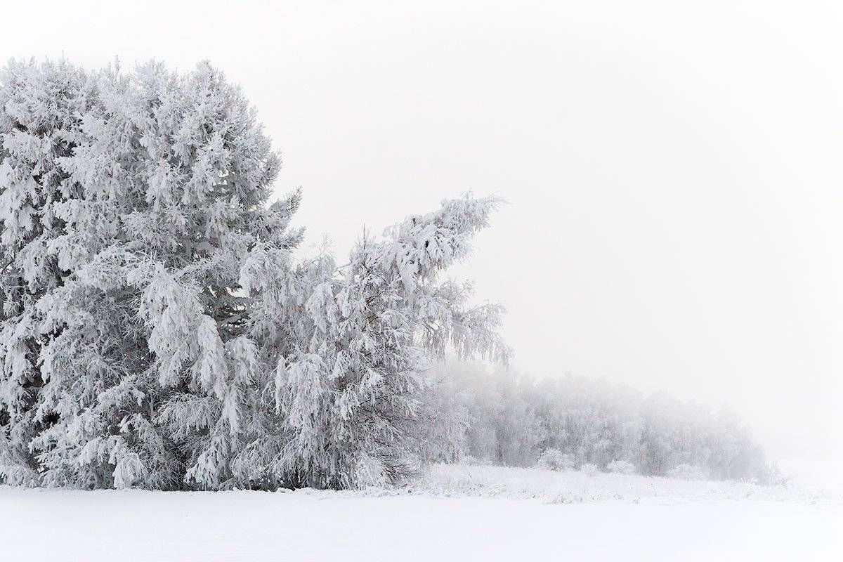 , Владимир Сковородников