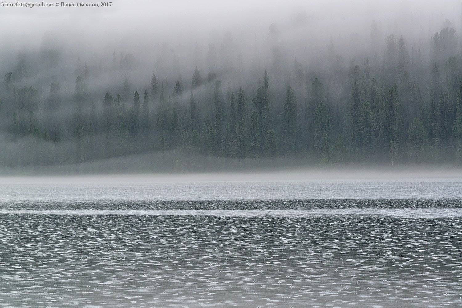 алтай, altai, сибирь, siberia, pavel filatov, павел филатов, катунский хребет, тайменье, озеро, дождь, туман, fog, rain, lake, Павел Филатов