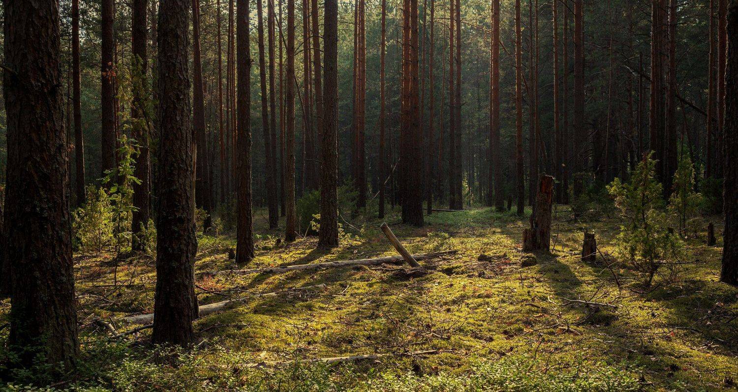Тверь, Тверская область, Торопов Роман