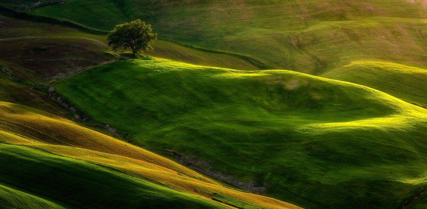 tuscany, Pawel Uchorczak