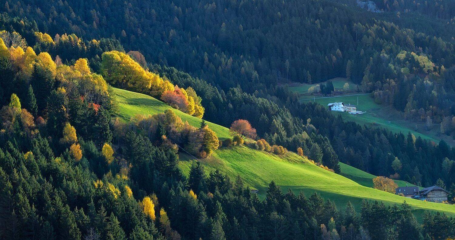 , Игорь Дубровский