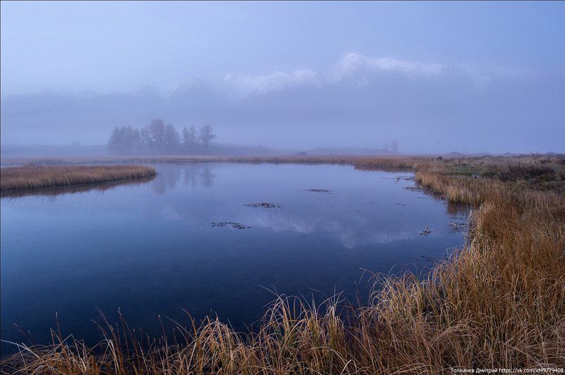 разное настроение... фото превью