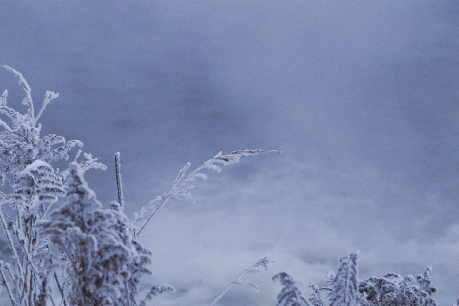 зима, снег, туман, утро, горячка, пейзаж, красота, winter, snow, mist, morning, landscape, beauty, Виктор Бертяев