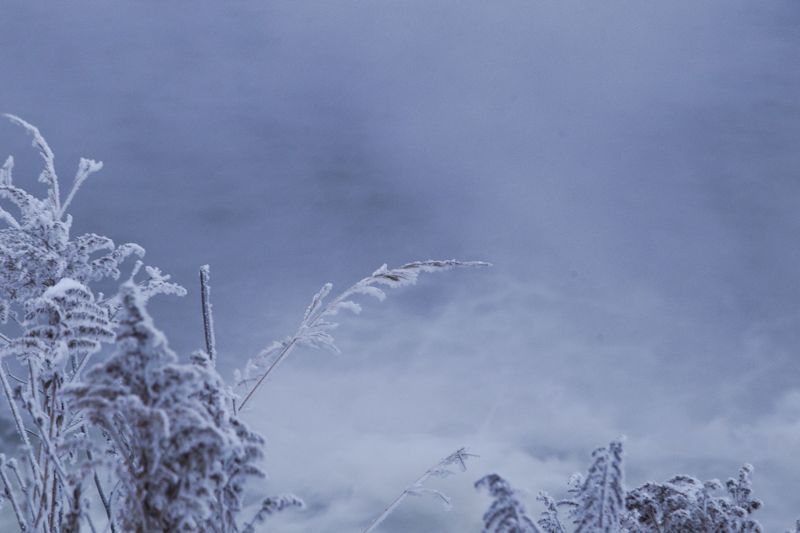 зима, снег, туман, утро, горячка, пейзаж, красота, winter, snow, mist, morning, landscape, beauty Горячка фото превью