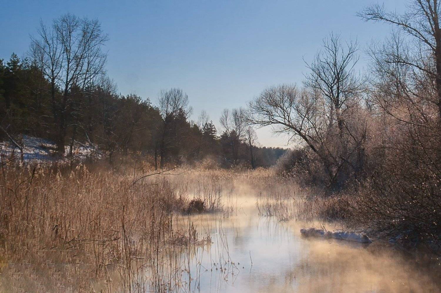 , Александр Войтенко