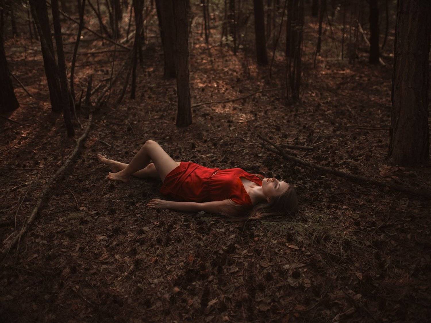 , Белозеров Дмитрий