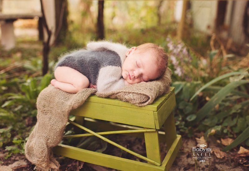 природа, outdoors, малыш, новорожденный,осень,спит Даня, 10 дней фото превью