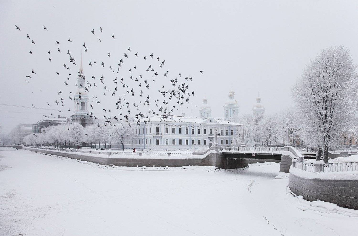 , Николай Бобов