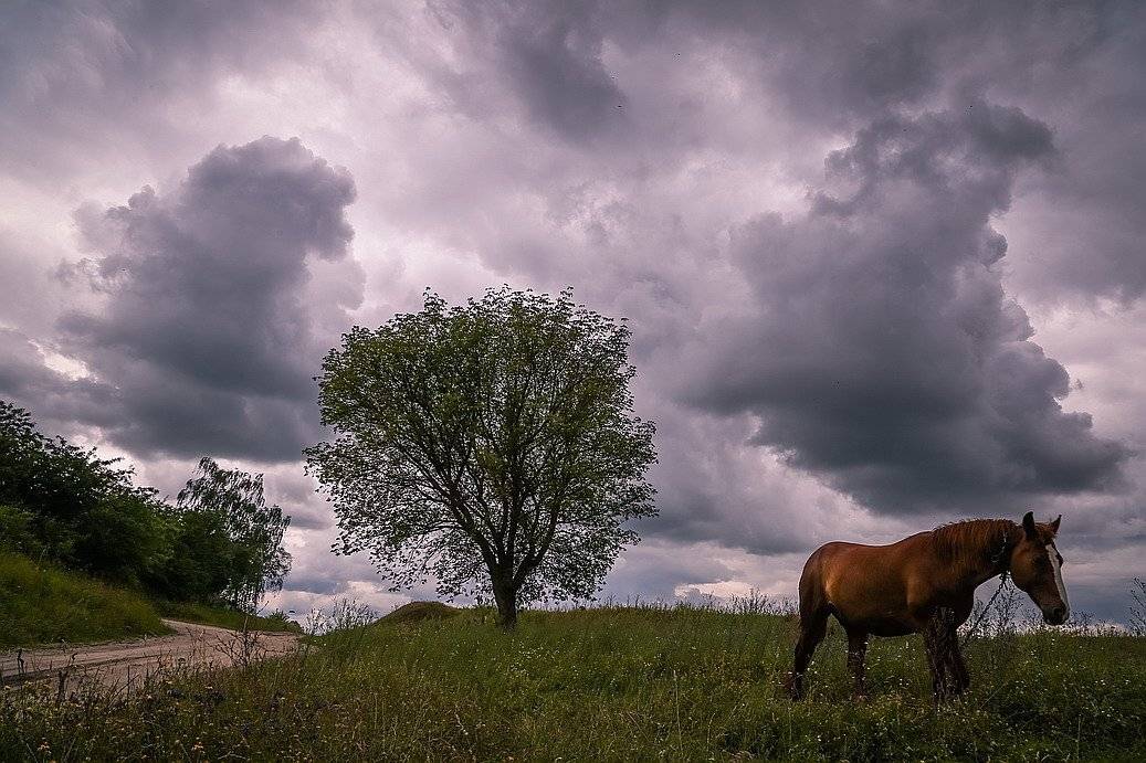 , Вячеслав Мищенко