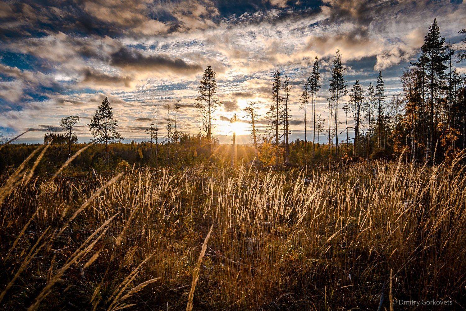 #sunset #закат #природа #пейзаж #landscape , Горковец Дмитрий