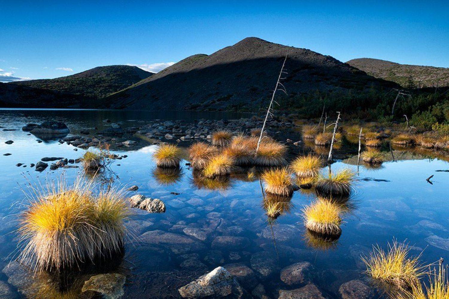 колыма, озеро джека лондона, озеро мечта, тундра, сопки, трава, колыма, магаданская область, россия, озеро, вода, горы, отражение, Алексей Харитонов